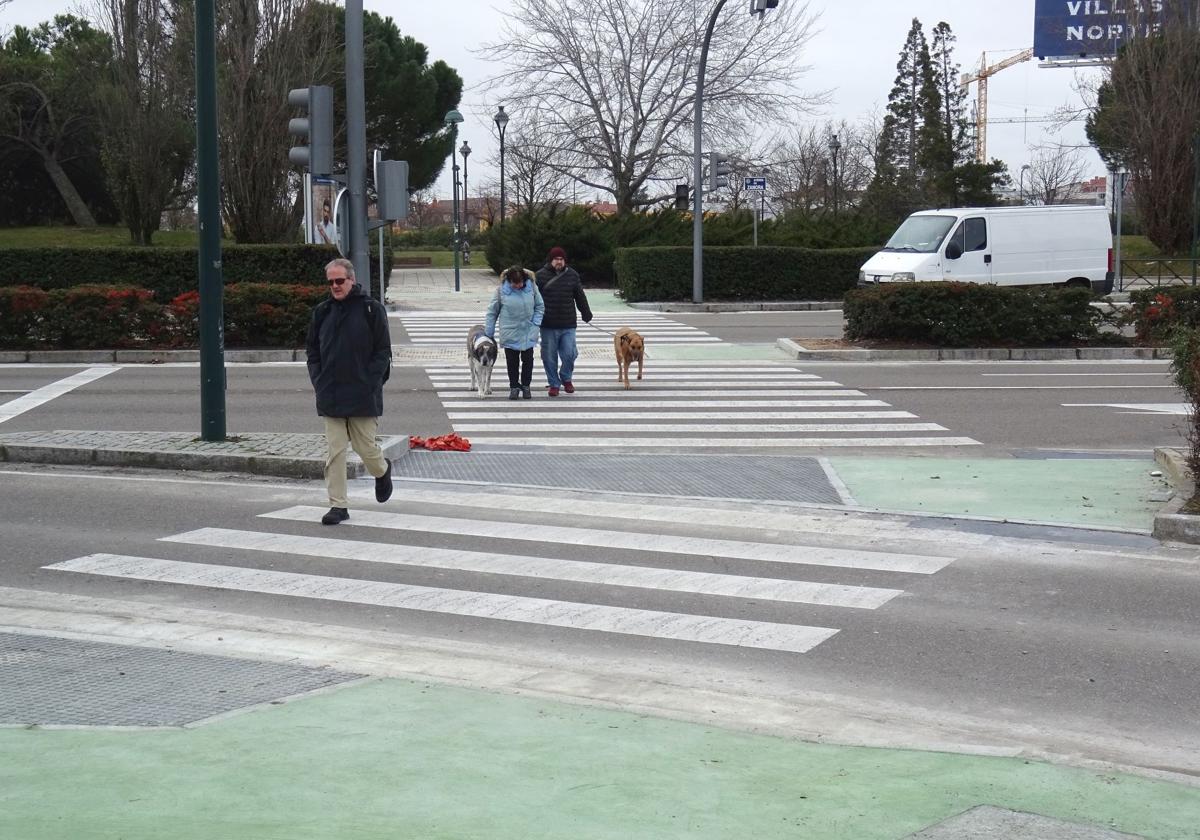 Paso de peatones en la avenida de Zamora de Valladolid, en una imagen de archivo.