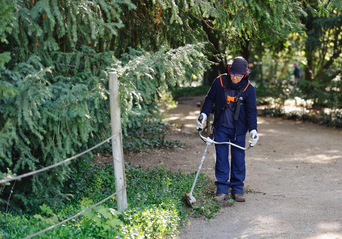 Abierto el plazo para inscribirse en la Escuela de Jardinería para desempleados de Valladolid