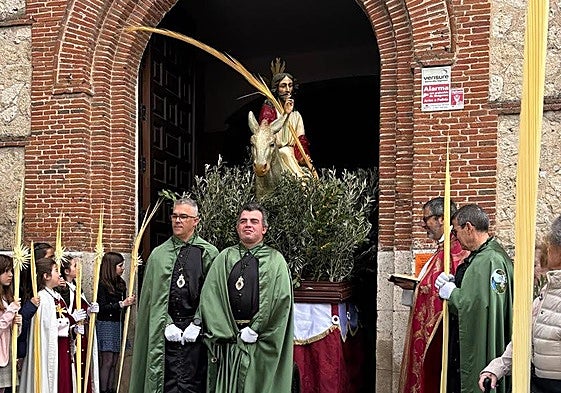Procesión de la Borriquilla por las calles de Olmedo.