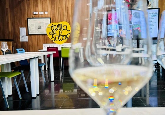 La Cámara y Tierra de Sabor impulsan un máster en Dirección de bodegas