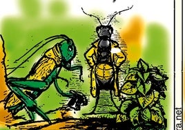 La viñeta de Rodera