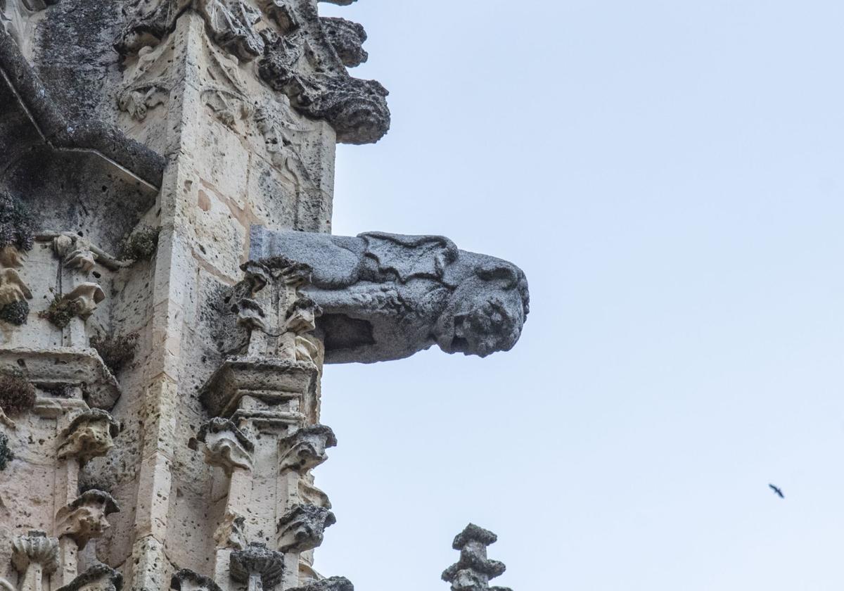 Gárgolas, guardianes del agua y el misterio