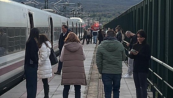 Un exceso de tensión en la red provoca retrasos en los trenes desde Madrid