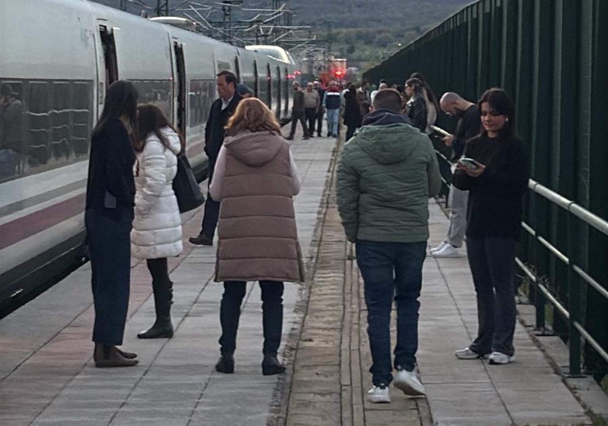 Tren de alta velocidad parado en el trayecto Valladolid - Madrid.