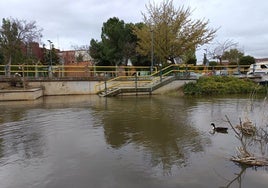 Estado del Esgueva, con sus paseos anegados, a la altura del puente de Pajarillos y Pilarica. en la calle Cigüeña.
