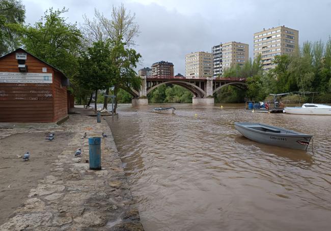 El caudal del Pisuerga este martes a la altura del puente de Poniente.