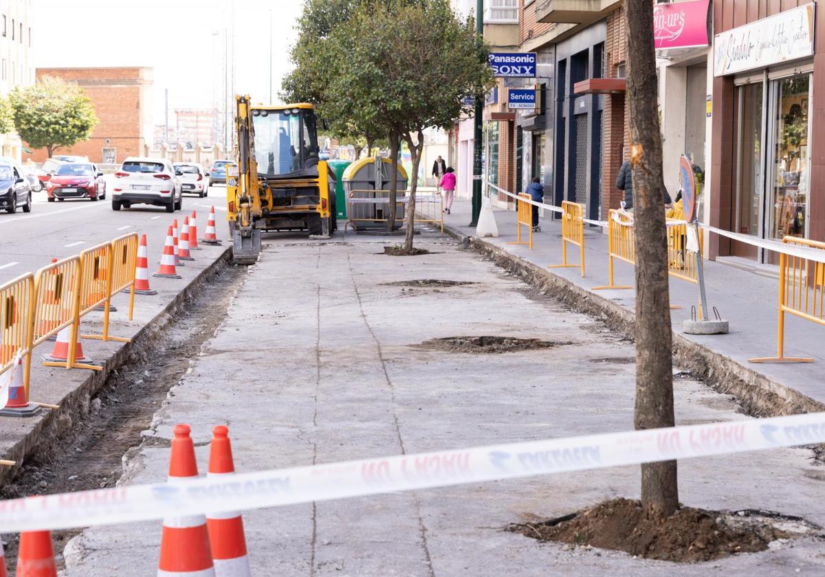 Los árboles talados en la calle de Recondo, donde se ubicará la parada de autobús.