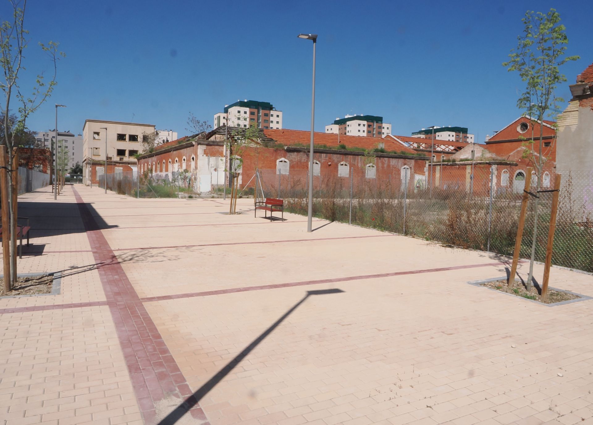Obras en el Paseo de Arco de Ladrillo de Valladolid para construir pisos para jóvenes
