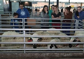 Público asistente ala Feria de Raza Churra, este sábado.