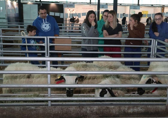 Público asistente ala Feria de Raza Churra, este sábado.