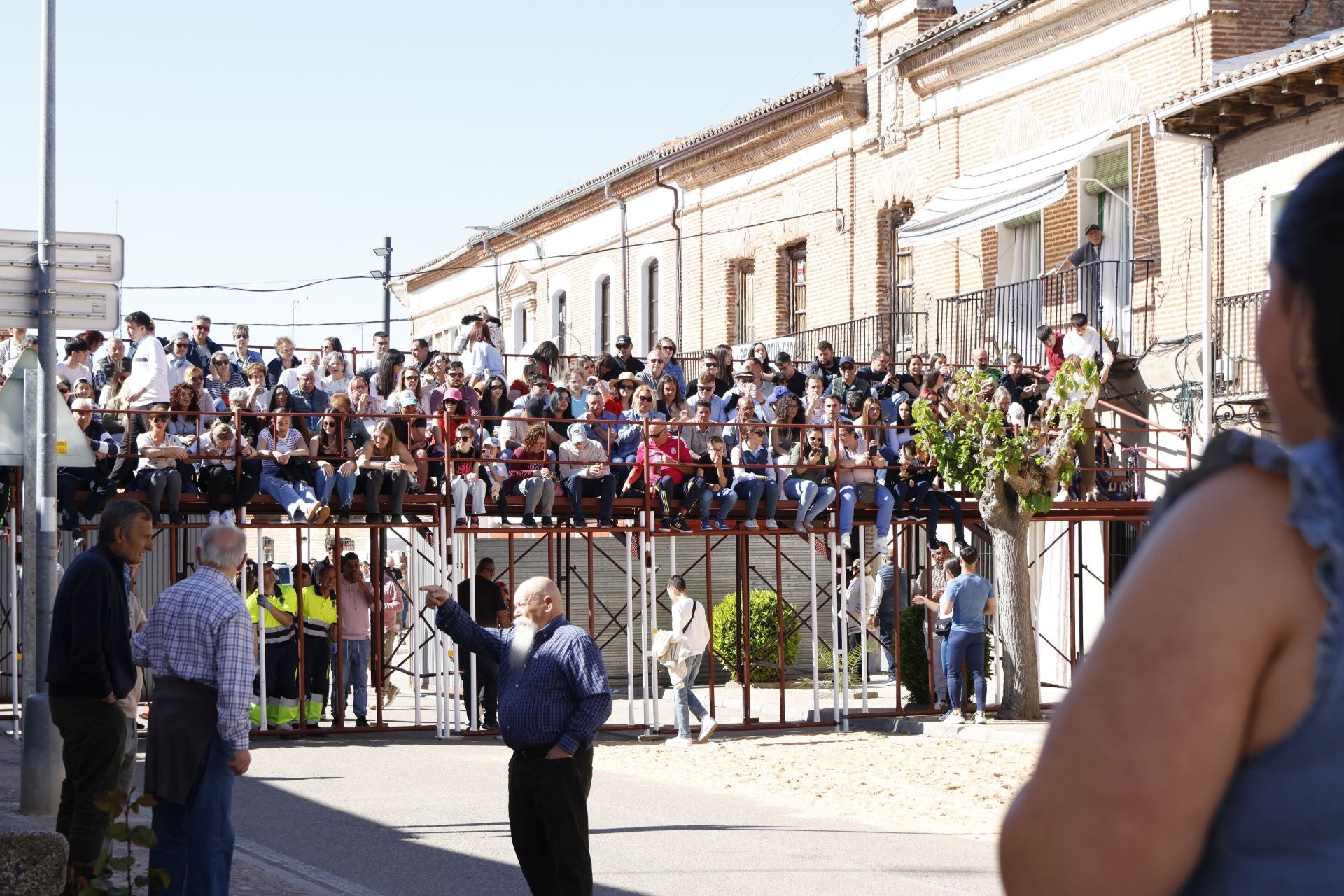 Las imágenes del Toro del Sarmiento de La Seca