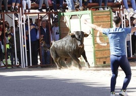 Las imágenes del Toro del Sarmiento de La Seca