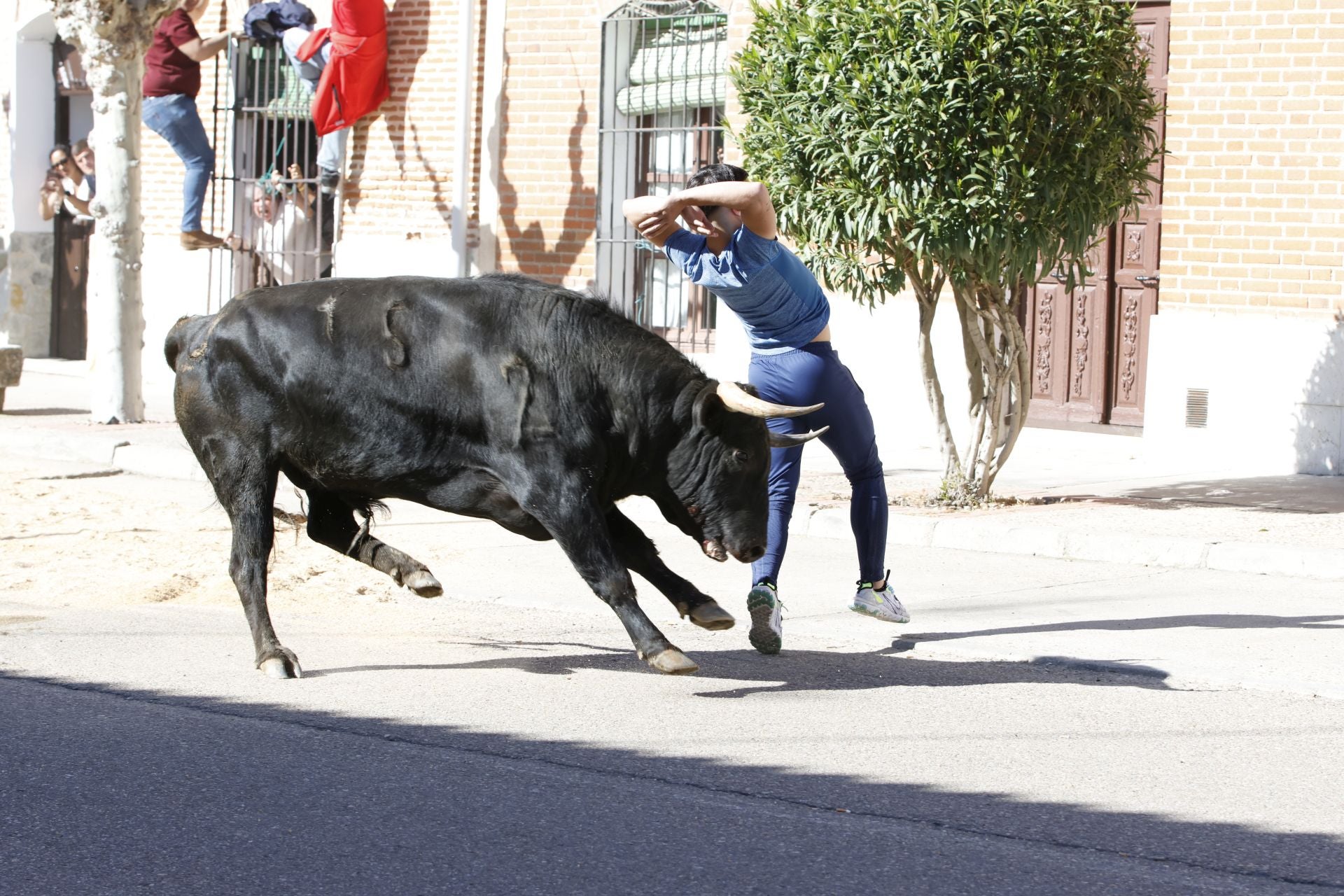 Las imágenes del Toro del Sarmiento de La Seca