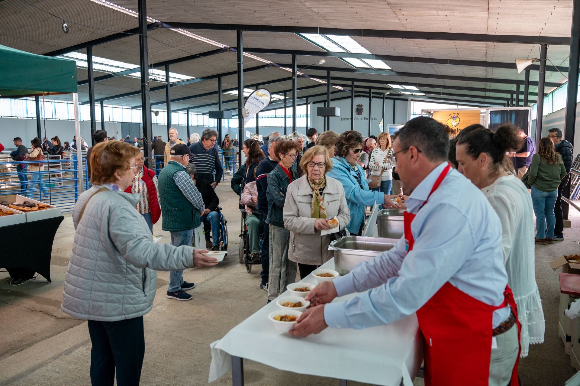 Caldereta gratis de lechazo churro