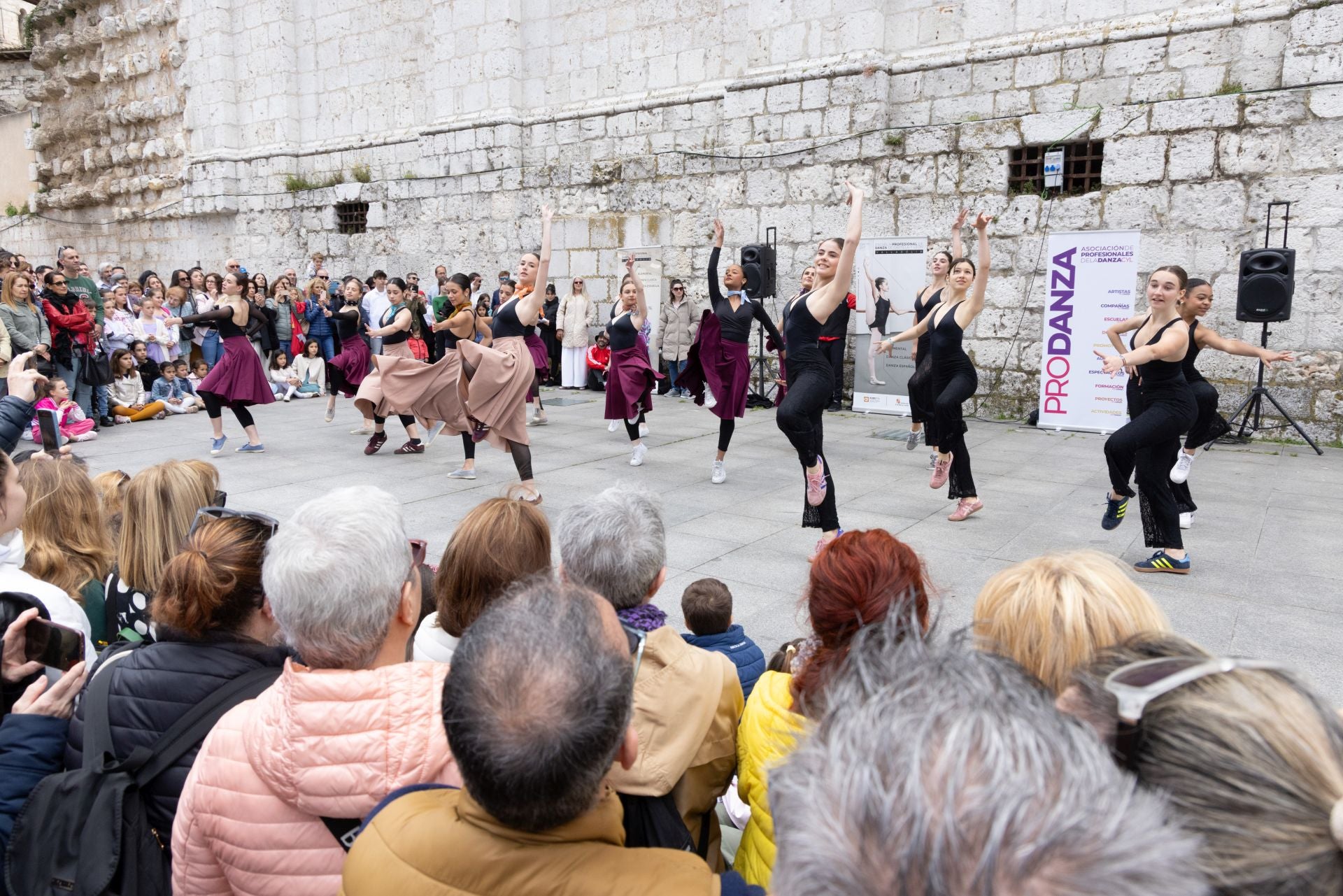 Día de la Danza en Valladolid