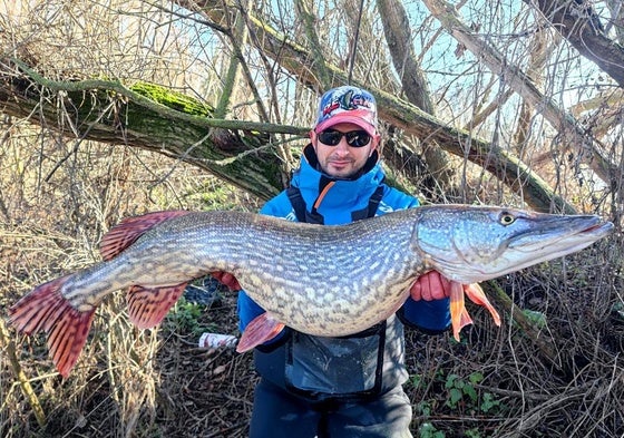 Sergio Rodríguez posa con el ejemplar de lucio de «casi 14 kilos» atrapado en Castilla y León.
