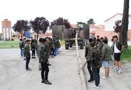 Plantada del 'mayo' en Pedrajas de San Esteban.