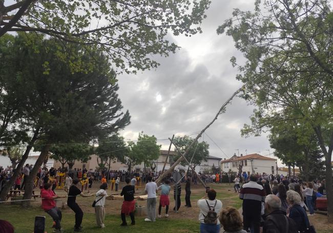 Los quintos de Cabezón de Pisuerga levantando el mayo en la Plaza del Mayo