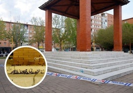 Templete de la Plaza de la Constitución balizado tras aplicar el insecticida. En el círculo, la plaga de cucarachas.