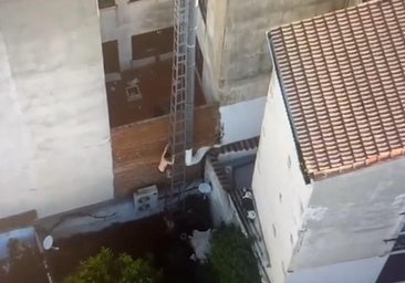 Huye por los tejados para evitar ser detenido por saltarse una orden de alejamiento
