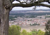 El sorteo de la Lotería del Día del Trabajador deja miles de euros en un pueblo de Valladolid