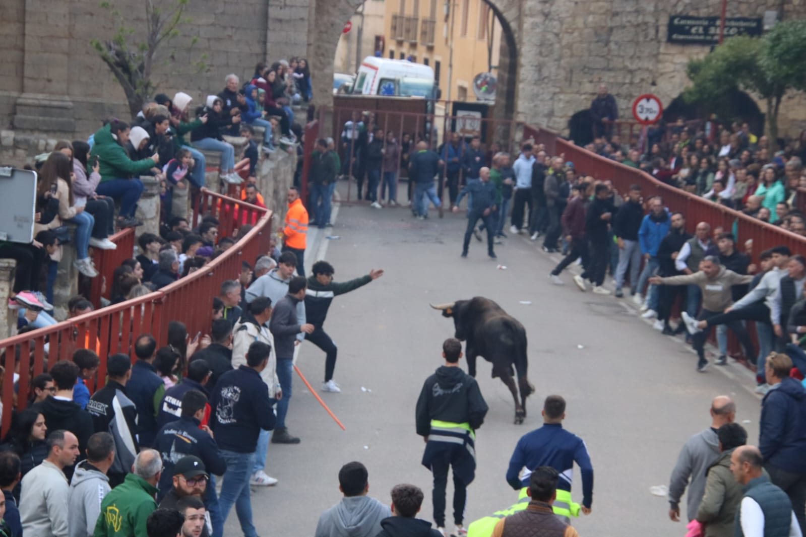 Emoción en Villabrágima con el VII Toro de la Santa Cruz