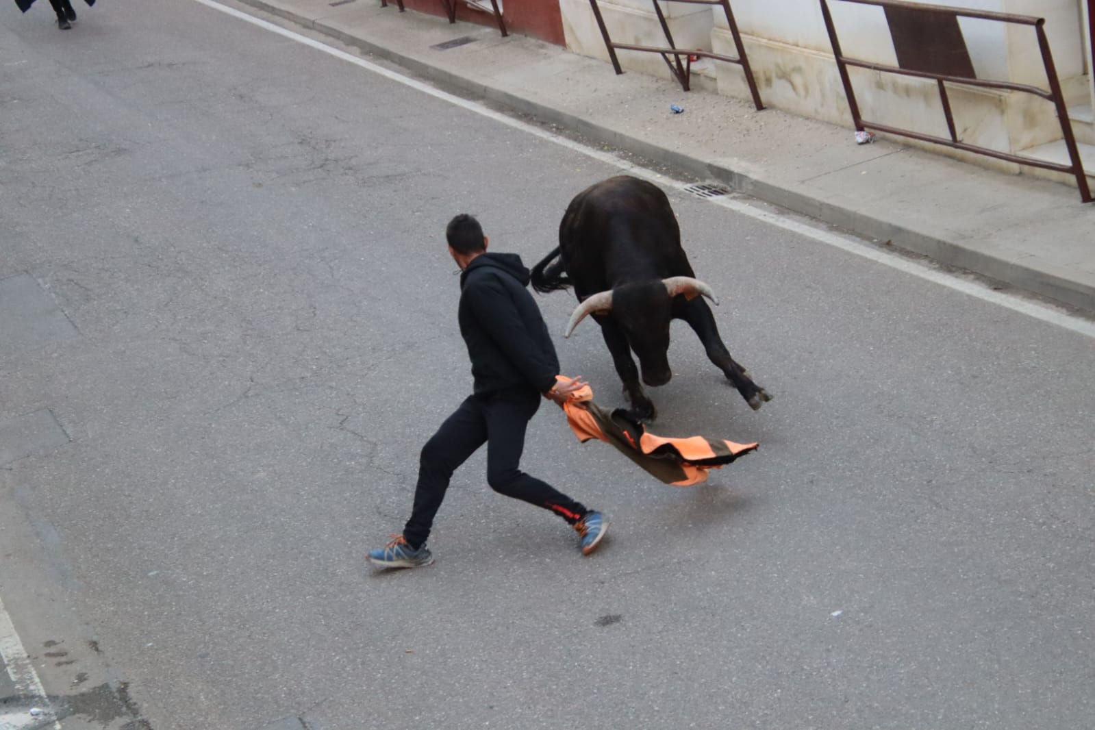 Emoción en Villabrágima con el VII Toro de la Santa Cruz