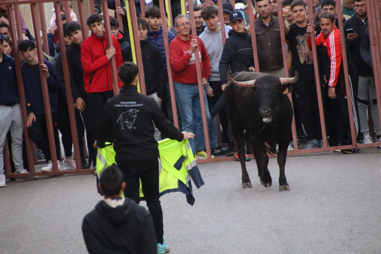 Emoción en Villabrágima con el VII Toro de la Santa Cruz