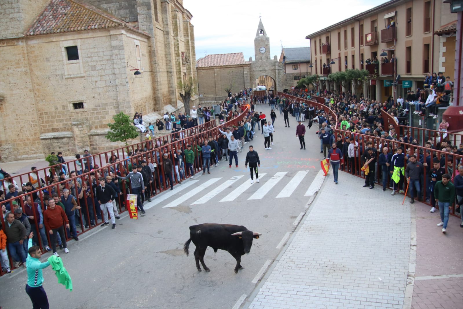 Emoción en Villabrágima con el VII Toro de la Santa Cruz