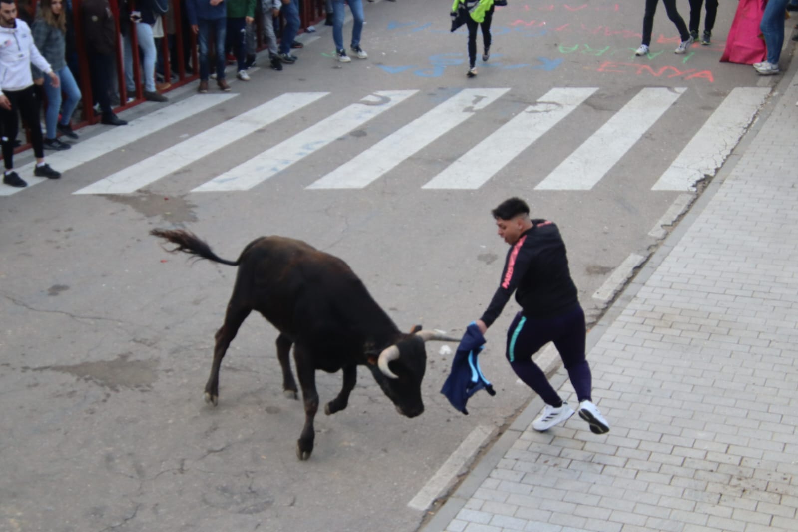 Emoción en Villabrágima con el VII Toro de la Santa Cruz