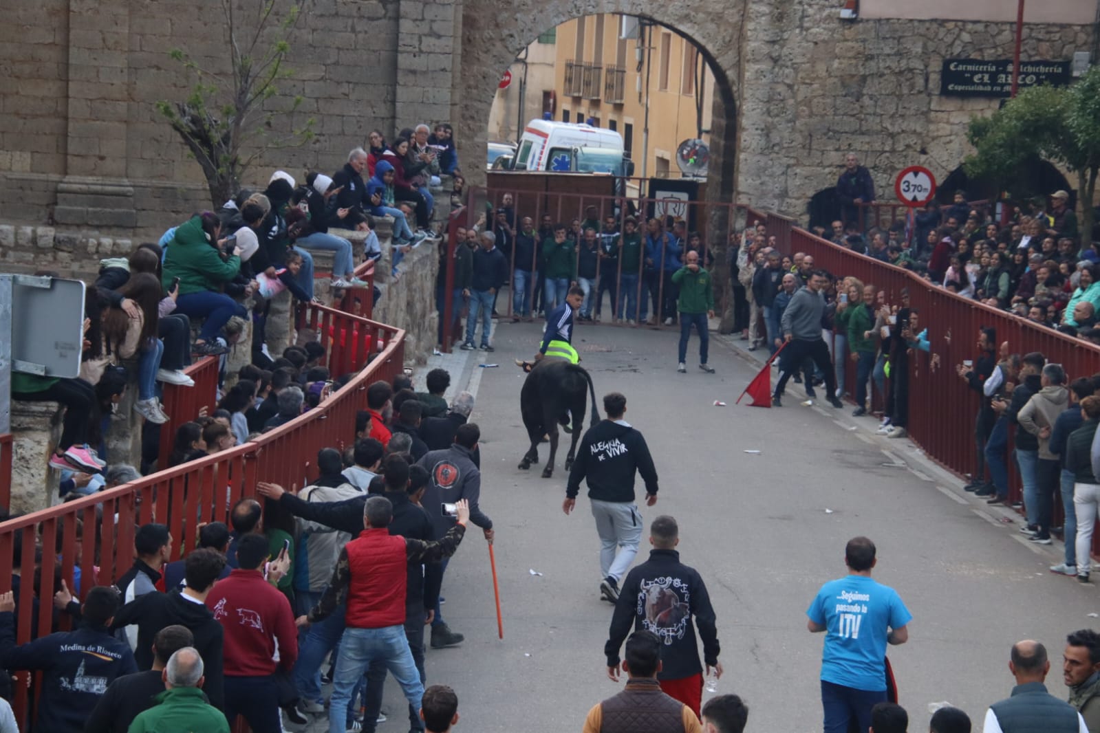 Emoción en Villabrágima con el VII Toro de la Santa Cruz