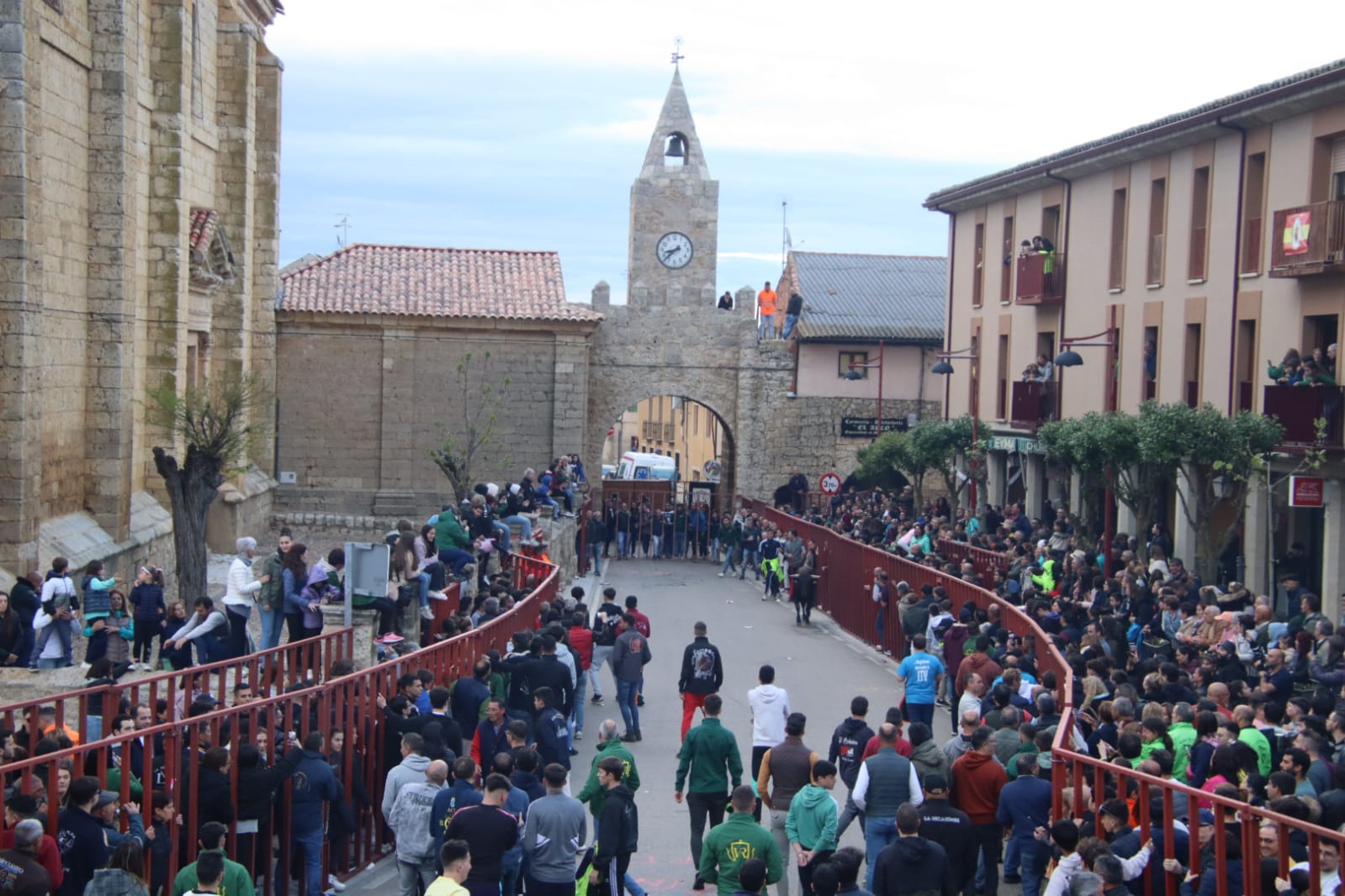 Emoción en Villabrágima con el VII Toro de la Santa Cruz