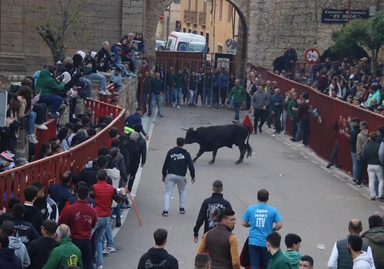 Cientos de aficionados siguieron la suelta del novillo en la plaza Mayor