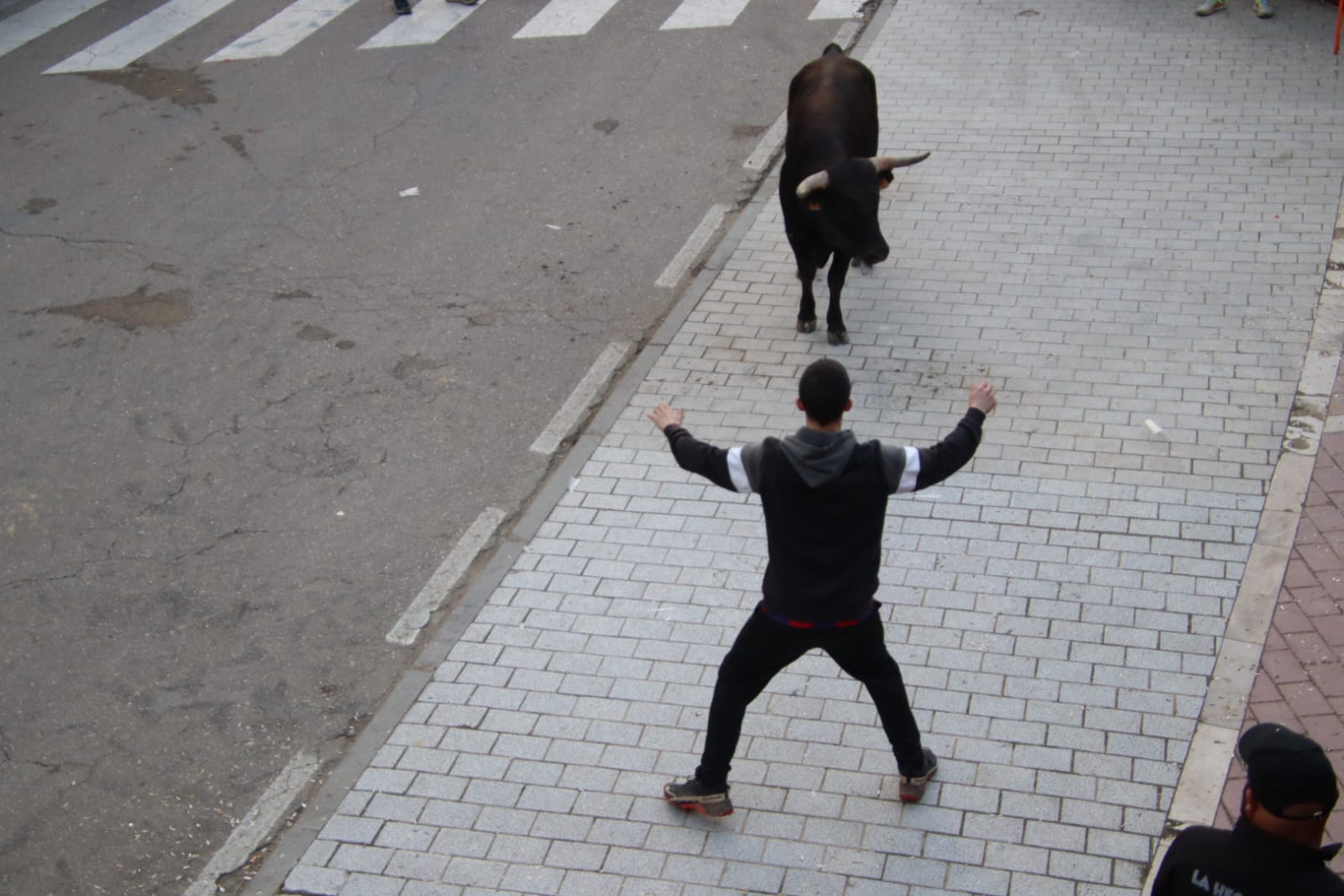 Emoción en Villabrágima con el VII Toro de la Santa Cruz