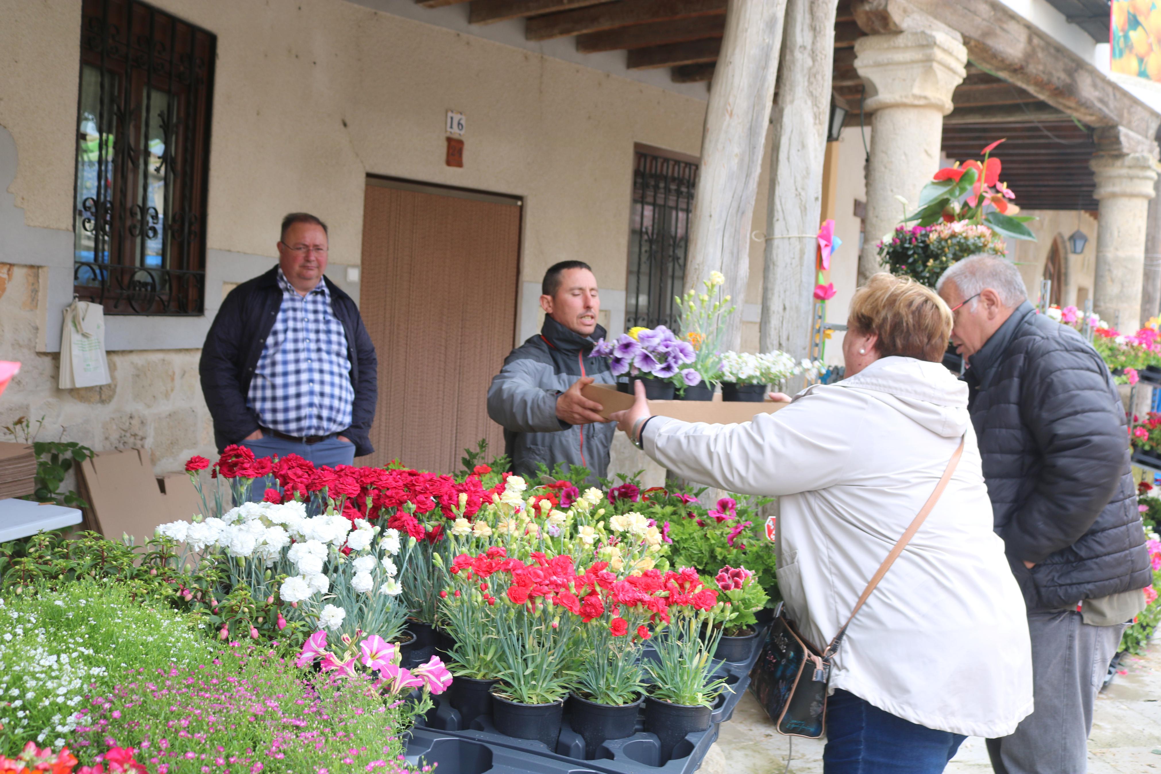 XIV Mercado de la Flor en Ampudia