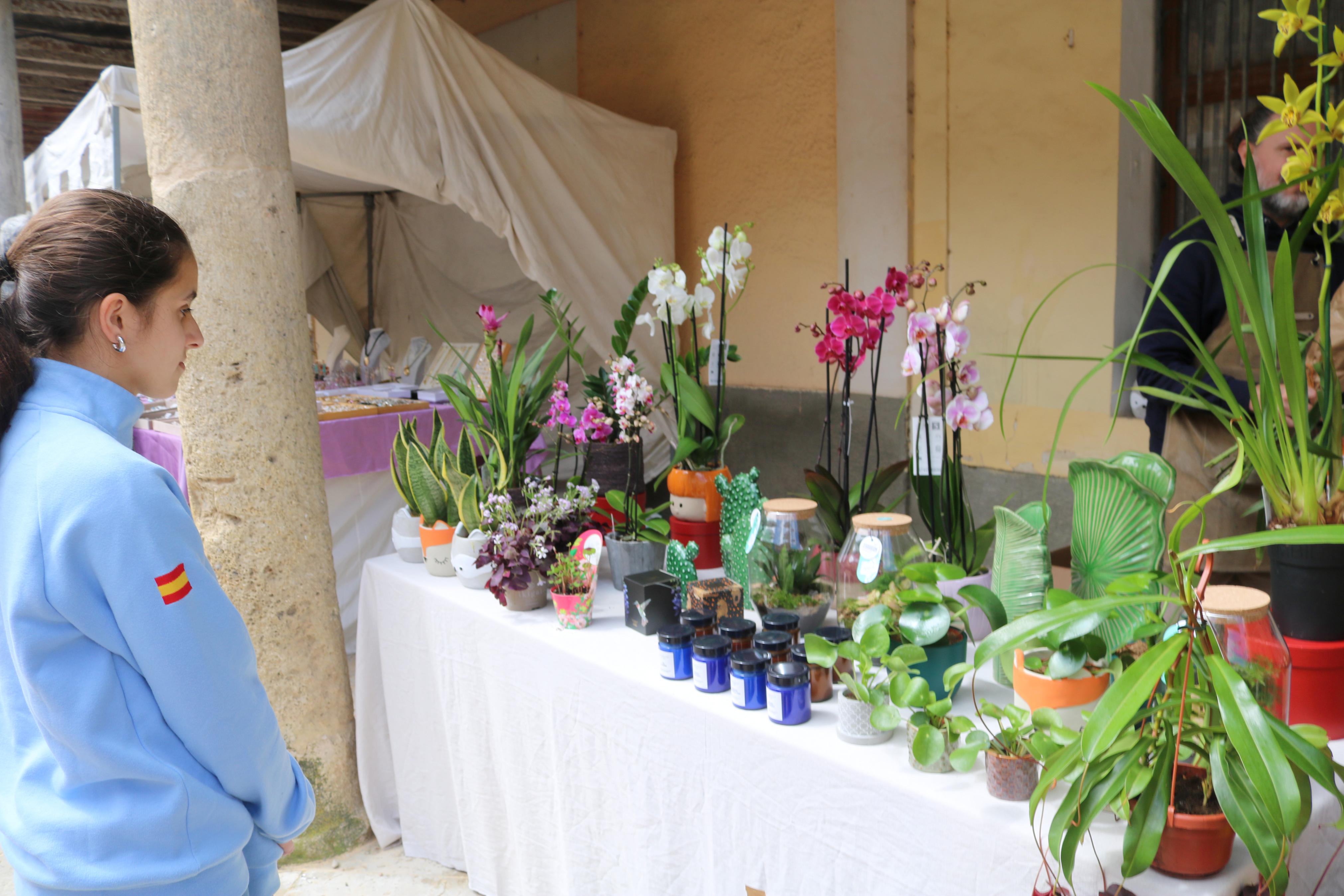 XIV Mercado de la Flor en Ampudia