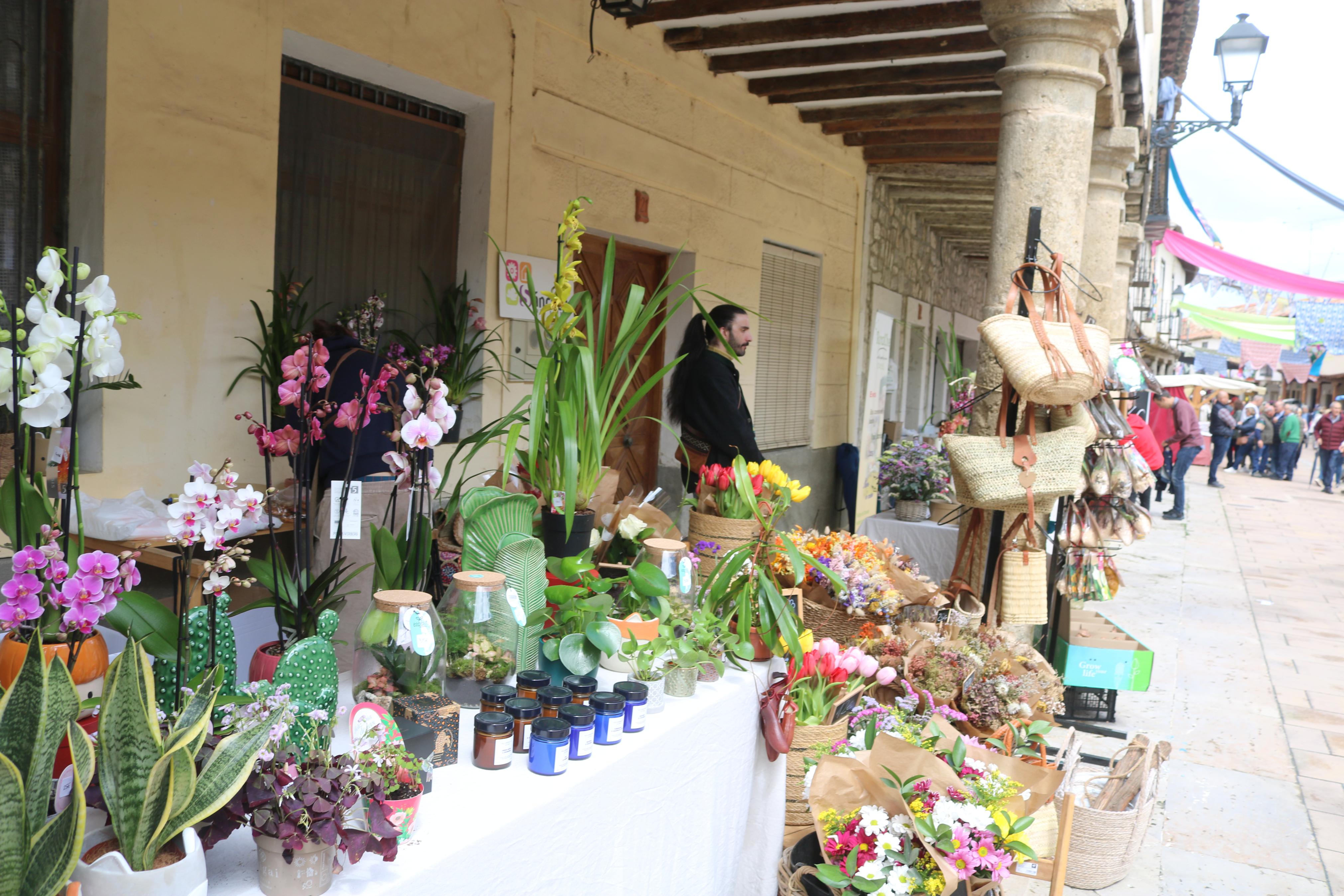 XIV Mercado de la Flor en Ampudia