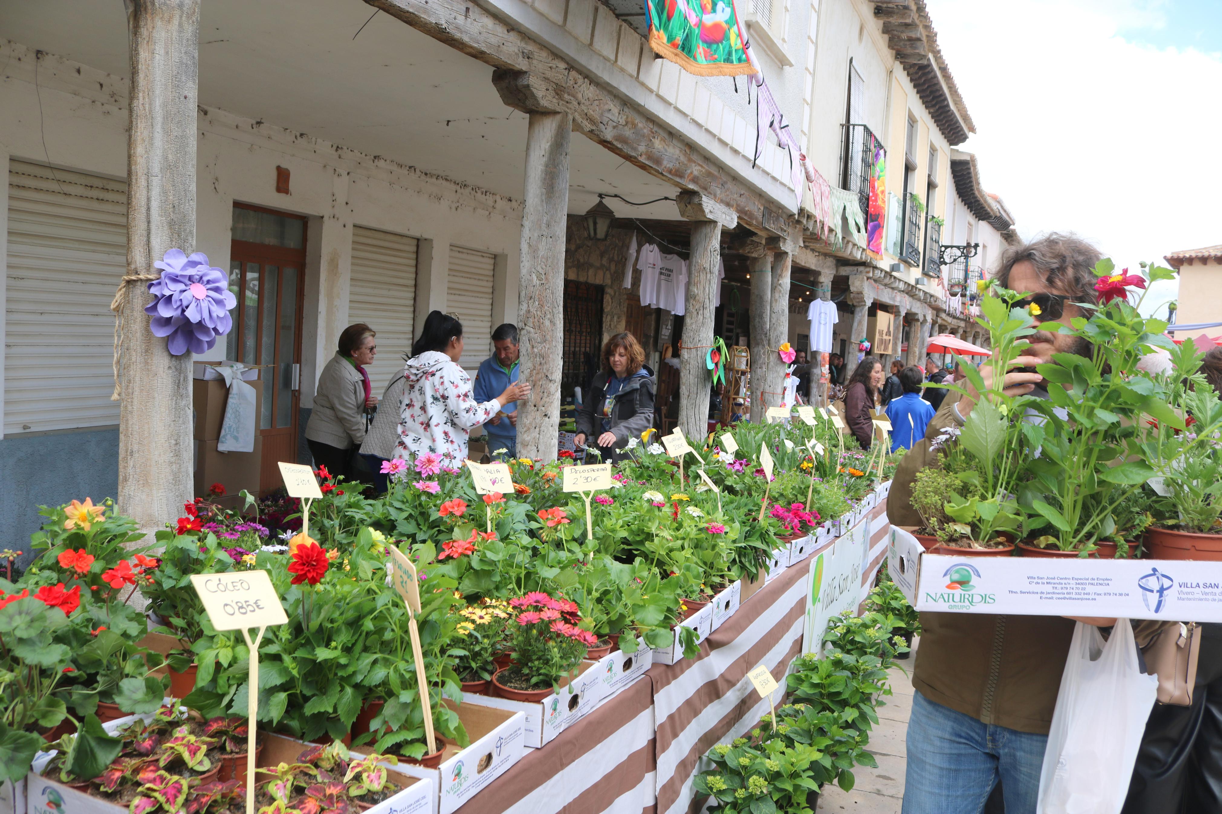 XIV Mercado de la Flor en Ampudia