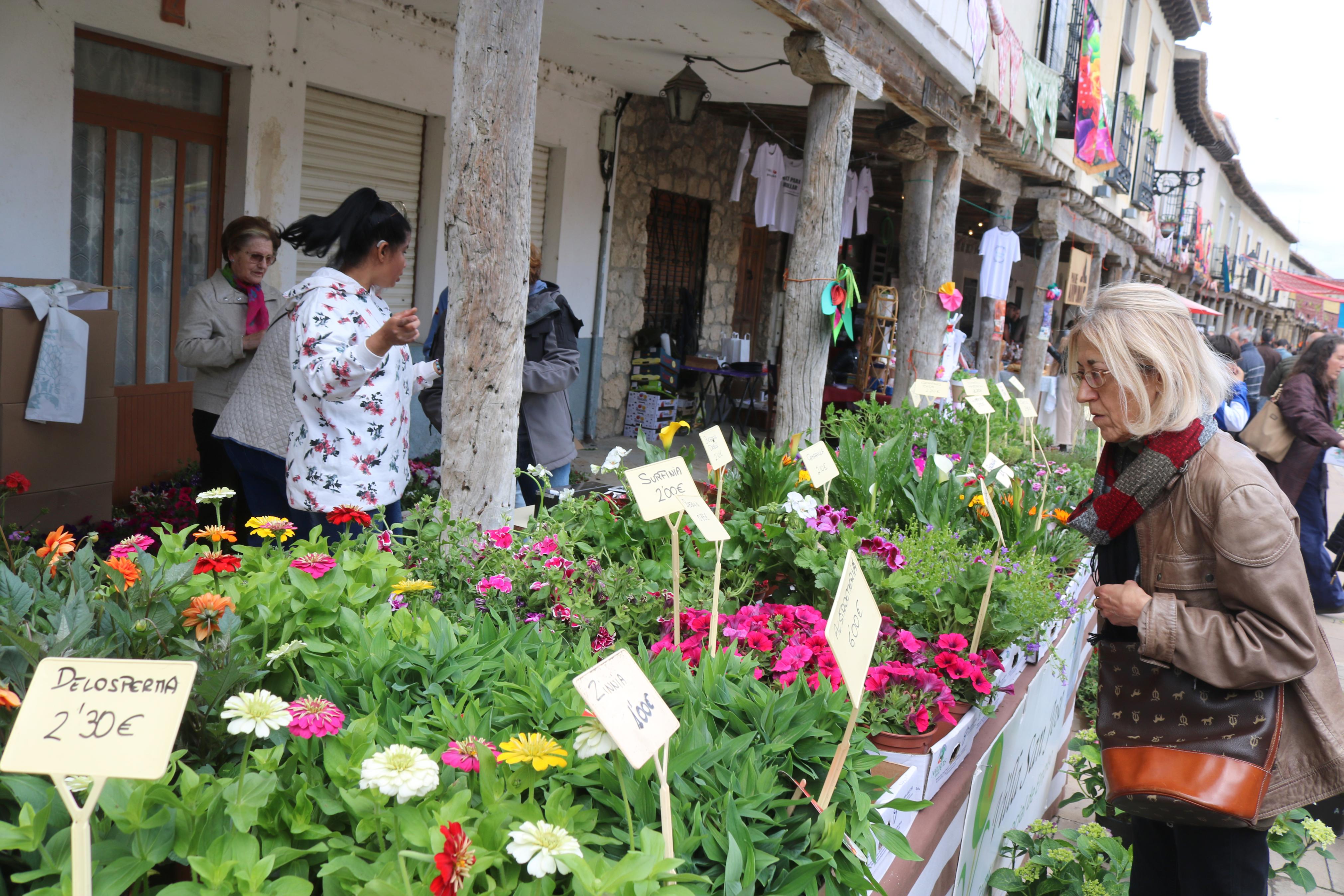 XIV Mercado de la Flor en Ampudia