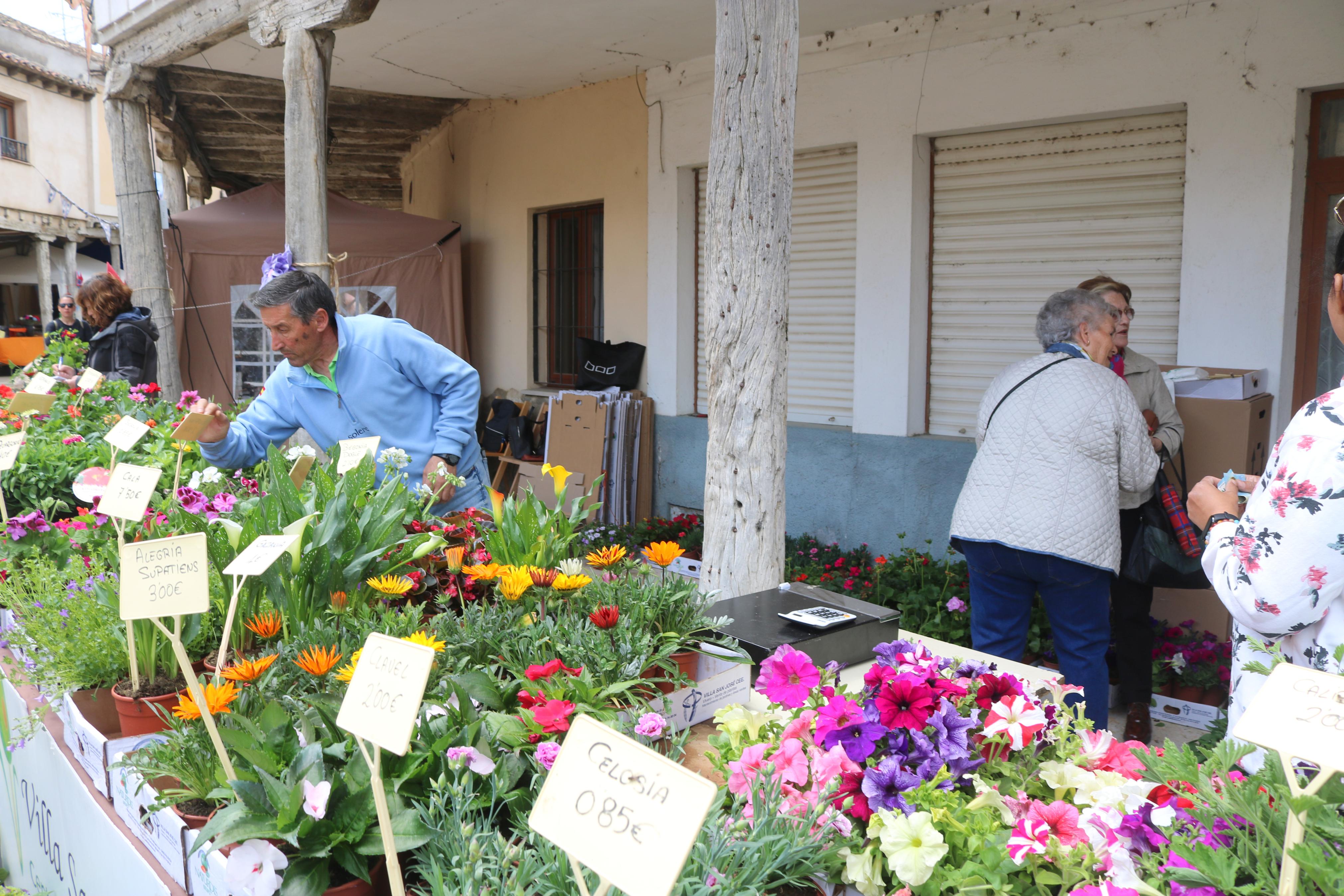 XIV Mercado de la Flor en Ampudia
