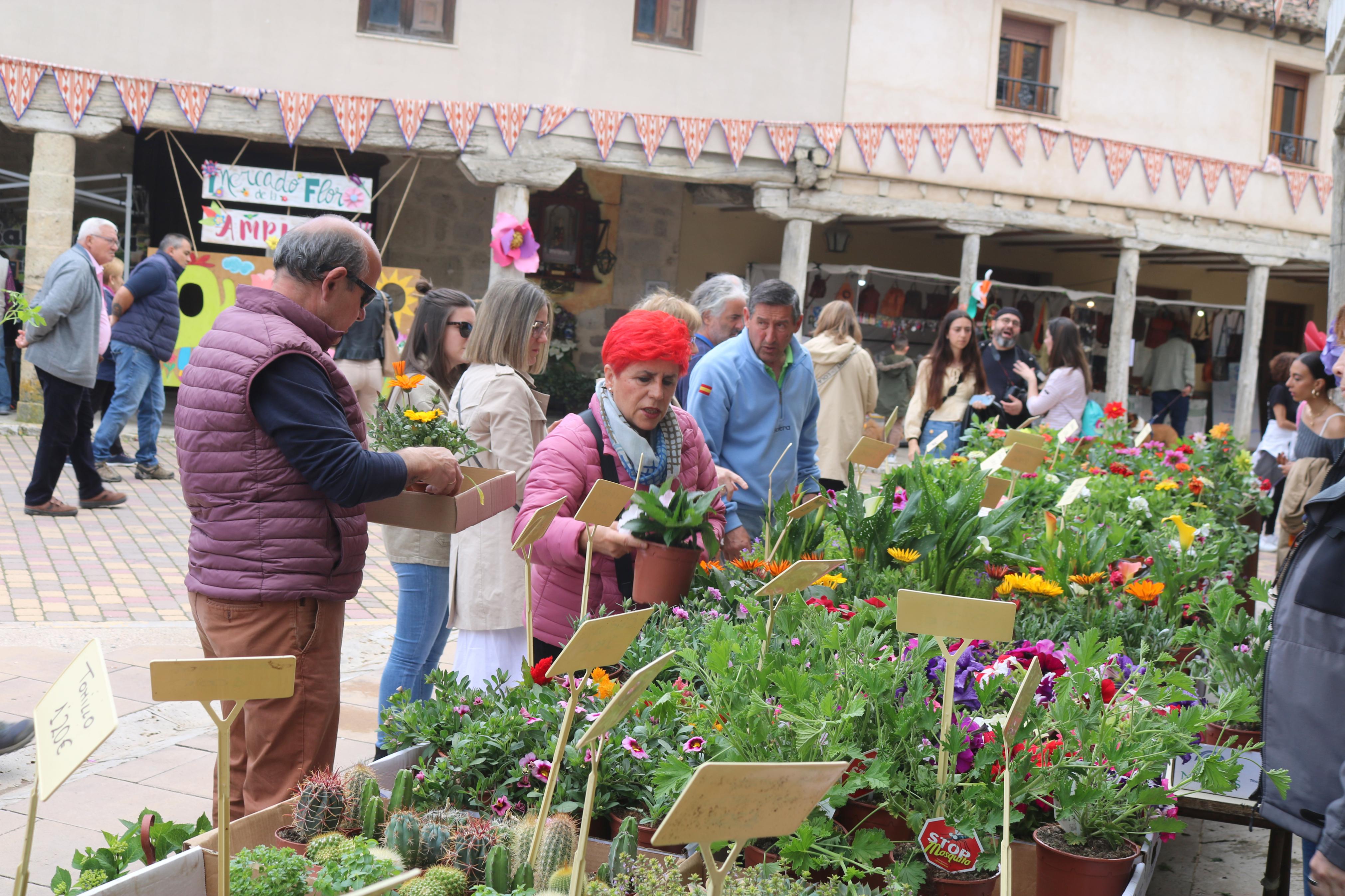 XIV Mercado de la Flor en Ampudia