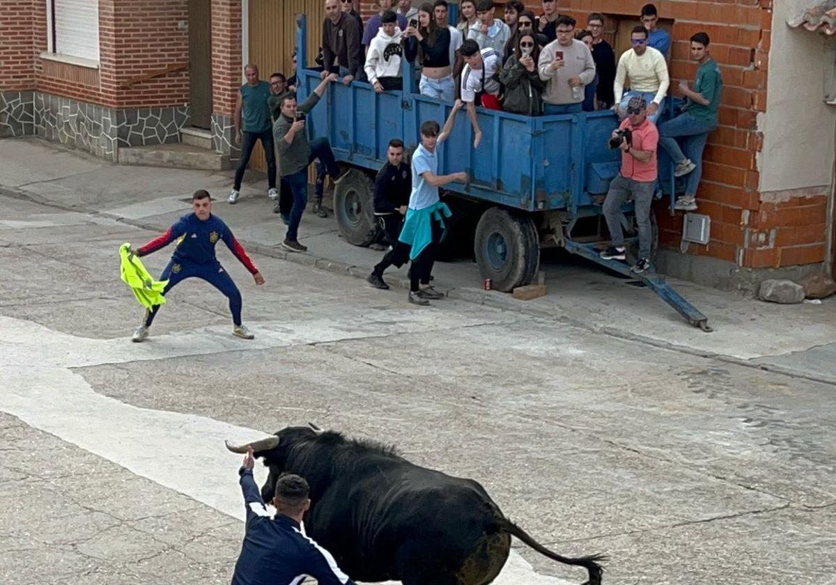 Decenas de aficionados disfrutan de un 'toro del Hornija' con menor afluencia que otros años