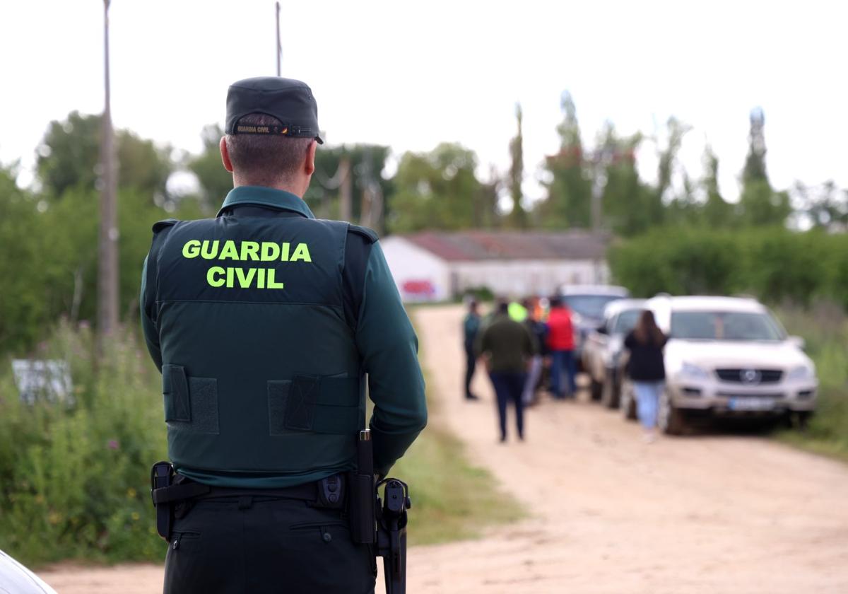 Imagen de Galeria 