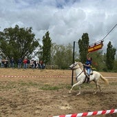 Una quinta pasa a galope bajo el cajón en su intento de sacar una cinta
