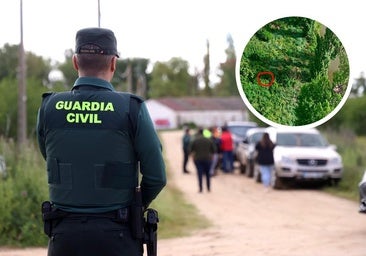 Sacrifican a la vaquilla huida de Arroyo junto a la desembocadura del Pisuerga