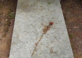 Imagen de una lapida junto a una rosa.