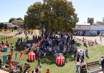 El circo invade un año más Olmedo con propuestas y espectáculos de primer nivel