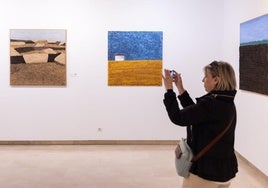 Las imágenes de las obras de Iván Villapecellín en Valladolid