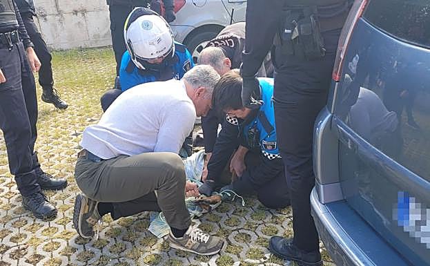 Momento en el que los agentes capturaron al corzo, con ayuda de varios trabajadores.