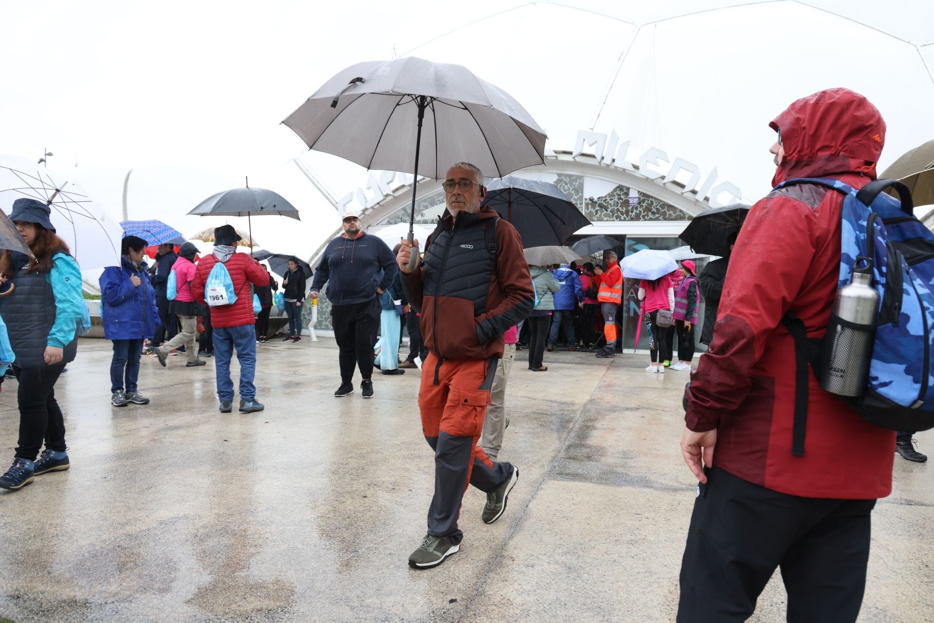 La cancelación de la Marcha Asprona, en imágenes